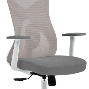 Silla De ACTECK AC-937245 FLOE PRO EC737/Color Blanco/Hasta 120KG/Ergonomica/Inclinacion 35°/Reposabrazos Fijo/Ajuste Lumbar/Mariposa Clase 4